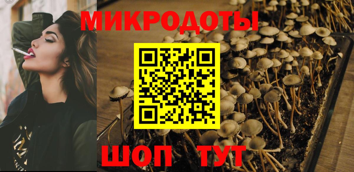 Нальчик  Псилоцибиновые грибы ЛСД  Вход с VPN 